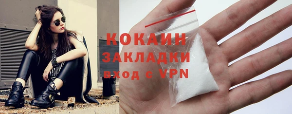 твердый Зарайск