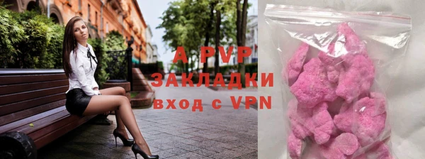 крисы Заречный