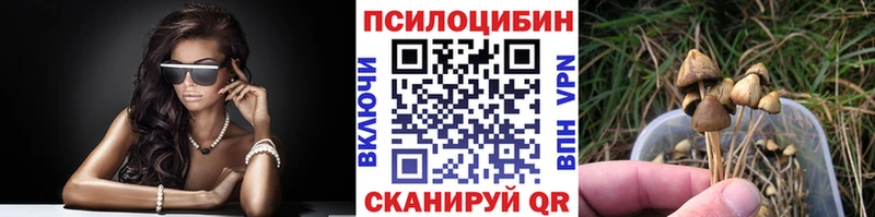 Галлюциногенные грибы Psilocybine cubensis  сколько стоит  Бодайбо 